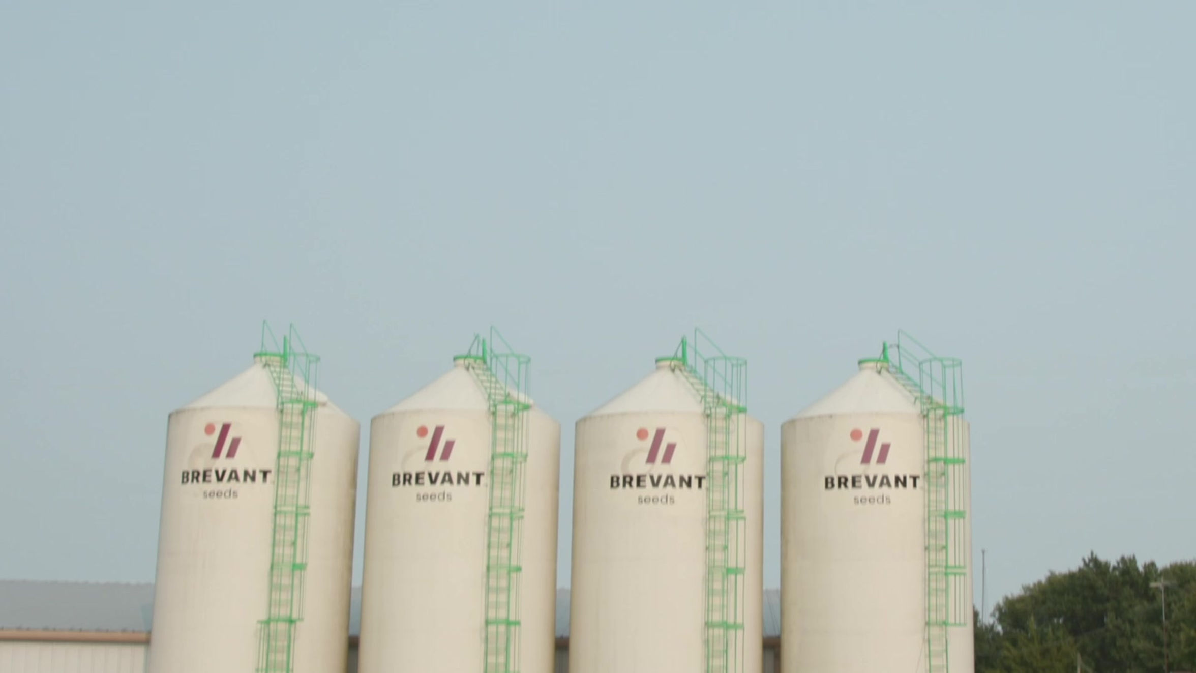 Seed Bin